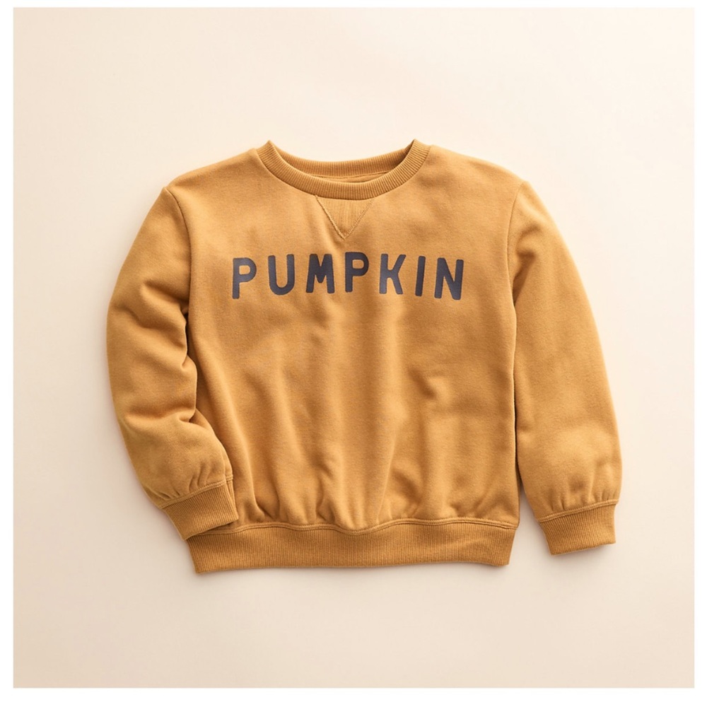 NEW 🦃 Little Co. by LC Lauren Conrad Pumpkin Sweatshirt Size 18 Months